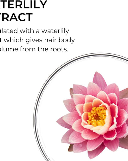 PHYTO VOLUME Shampooing Volumateur - 250ml