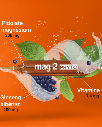 MAG 2 PHYTO Energie - 30 ampoules