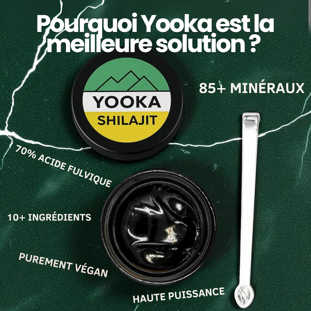 YOOKA SHILAJIT 50G