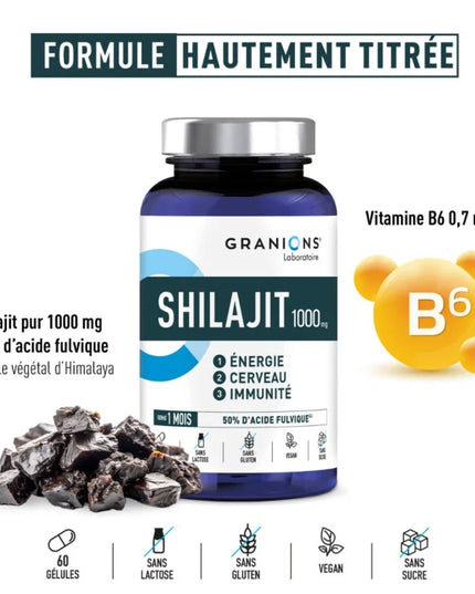 GRANIONS SHILAJIT 1000mg - 60 Gélules