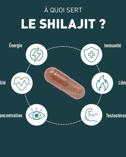 GRANIONS SHILAJIT 1000mg - 60 Gélules