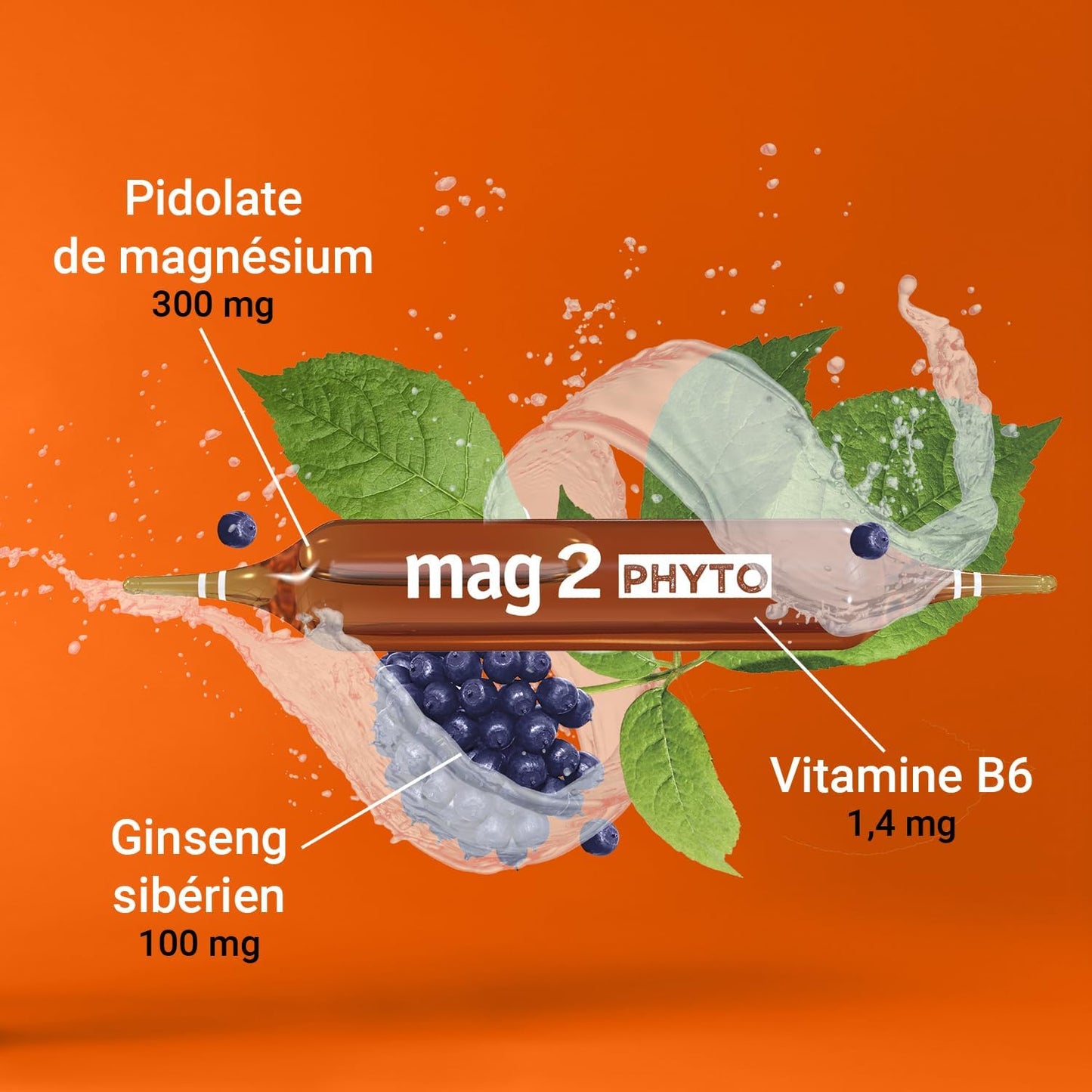 MAG 2 PHYTO Energie - 30 ampoules