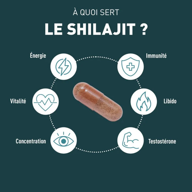 GRANIONS SHILAJIT 1000mg - 60 Gélules