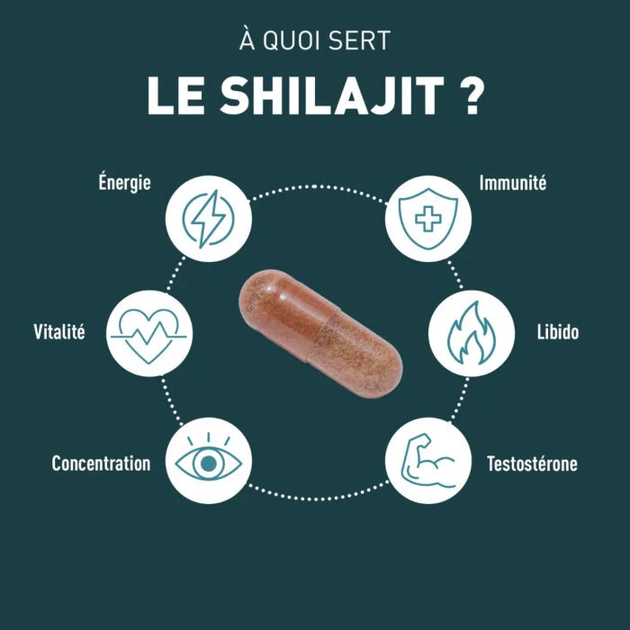 GRANIONS SHILAJIT 1000mg - 60 Gélules